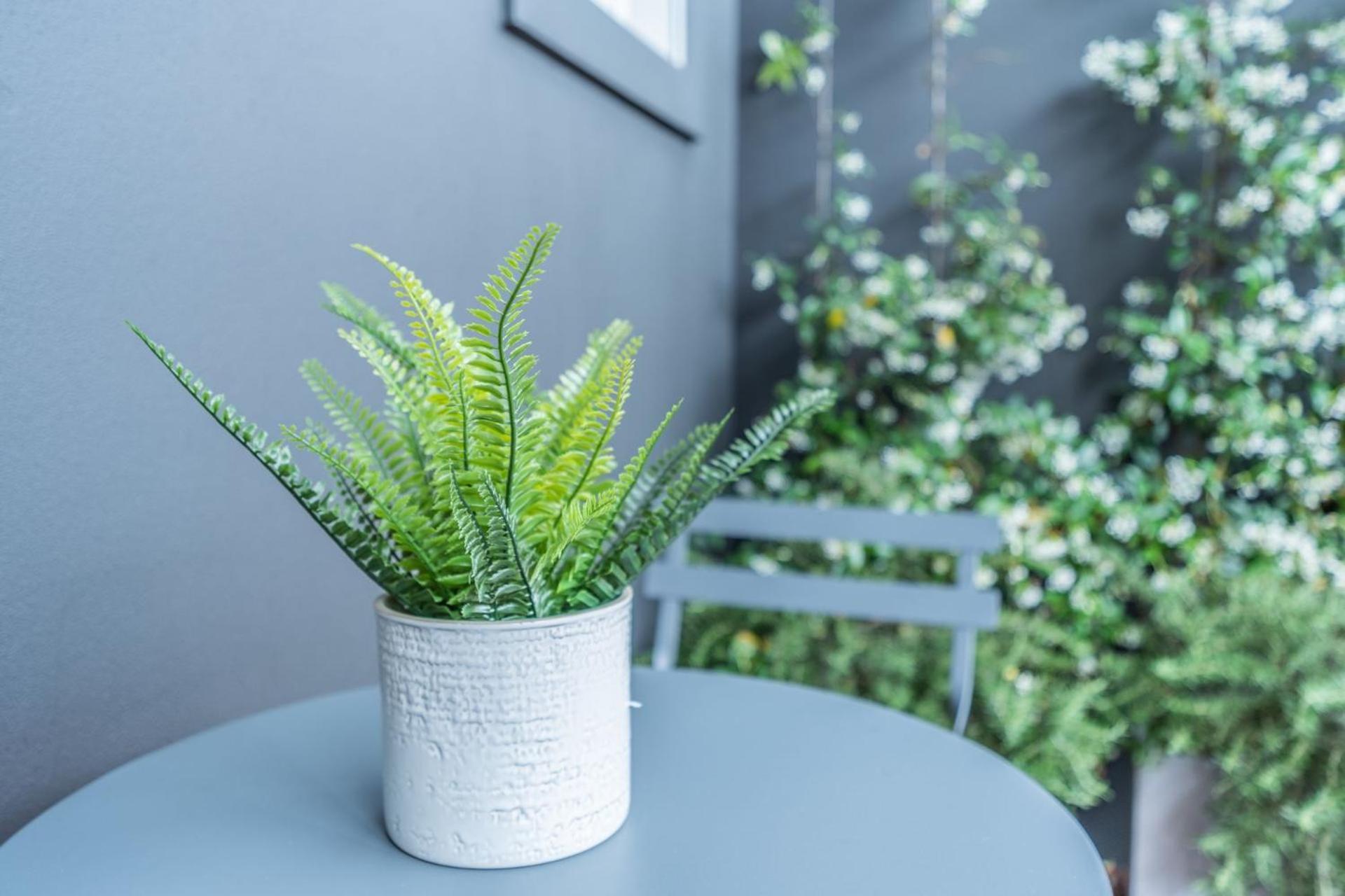 Parklands Hideaway, Waverley Isyd * Sydney